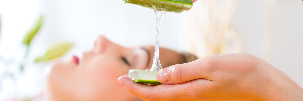 Aloe Vera Cilt Bakımında Nasıl Kullanılır?