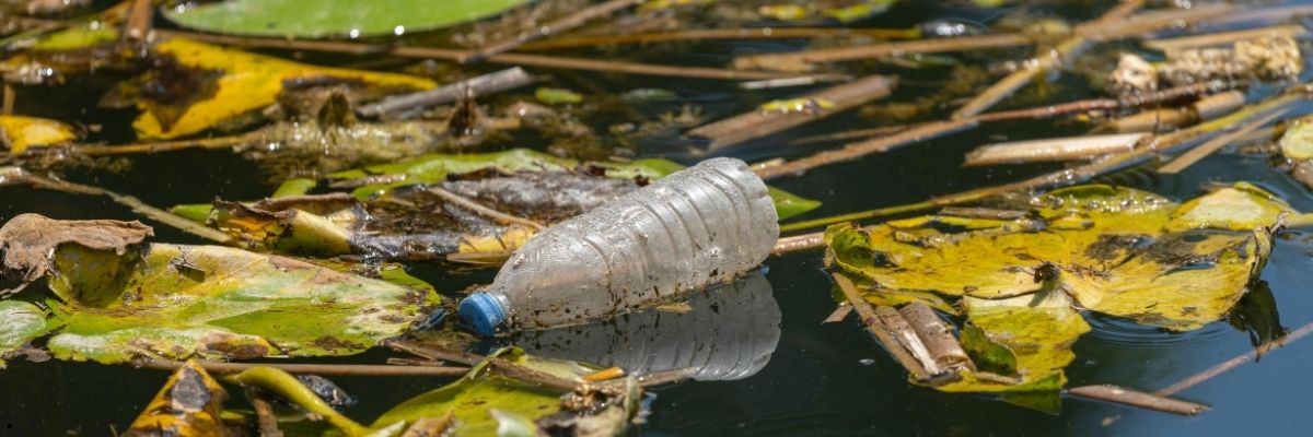 Hava Kirliliği Cildi Nasıl Etkiler, Nasıl Korunuruz